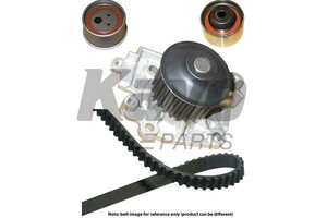 Фото Водяной насос + комплект ручейковых ремней KAVO PARTS DKW-5501