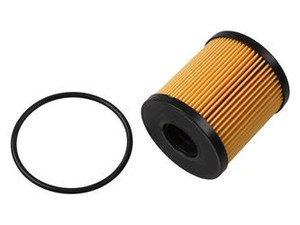 Фото oil filter 2.2 jtd Fast FT38074