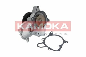 Фото Автозапчастина Kamoka T0053