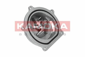 Фото Автозапчастина Kamoka T0145